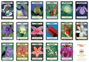 AUSTRALIAN BUSH FLOWER ESSENCES Einzelessenzen 15 ml- 69 Varianten - Bild 1 von 5
