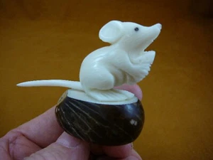 (TNE-MOU-114d) white MOUSE mice TAGUA NUT Figurine VEGETABLE RODENT PALM - Picture 1 of 1