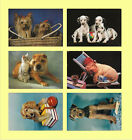 Cartolina animali Cani non viaggiata lotto di 6 cartoline