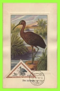Ungheria (1952) 1.60f Ibis Bird su scheda massima - Foto 1 di 1