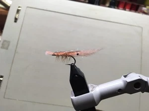 Saltwater Fly, Ultra Shrimp Size 6 Bonefish,Redfish,Permit,Drums,Sea Trout, - Picture 1 of 6