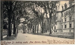 New Haven College Street View Conneticut Antique Postcard 1905 - Picture 1 of 5