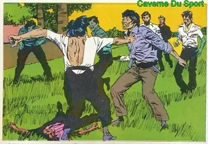 033 BRUCE LEE STICKER VIGNETTE FIGURINE CROMO KUNG FU KARATE FRANCE 1976 - Imagen 1 de 2