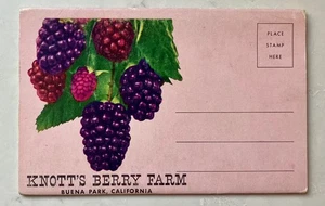 KNOTT’S BERRY FARM & GHOST TOWN, Buena Park, California~cartella cartoline~anni 50-60 - Foto 1 di 4