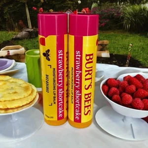 2 Burt’s Bees Moisturizing Lip Balm Strawberry Shortcake 0.15 oz each New Flavor - Picture 1 of 3