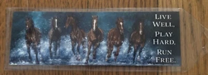 Leanin Tree BookMark 6 Horses Running in Water, LIVE WELL, PLAY HARD, RUN FREE - Imagen 1 de 1