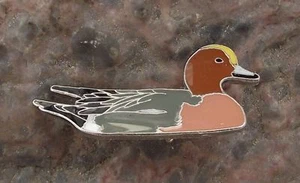 American Widgeon Wigeon Dabbling Duck Water River Lake Bird Brooch Pin Badge - Picture 1 of 2