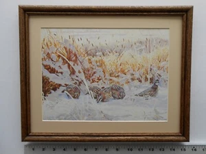 Guy Coheleach BOBWHITE CODORNIZ 11x14 enmarcada 3,25 239 - Imagen 1 de 8