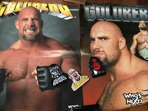 GOLDBERG~Hulk~Sting Iron on PATCH 1998 WCW World Championship Wrestling & Poster - Picture 1 of 8