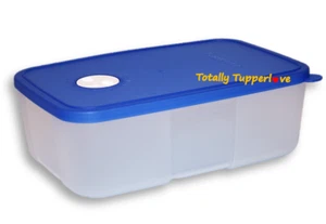 Contenedor de esfera inteligente Tupperware Freeze rectángulo profundo 6 tazas azul congelador compañeros - Imagen 1 de 2