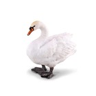 CollectA Realistische Tiernachbildung Höckerschwan, mittleres Alter ab 3 Jahren