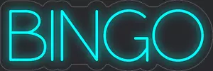 Bingo Sky Blue 24x8 inches Neon LED Sign Decor Wall Lights Brighten Up Store - Picture 1 of 1