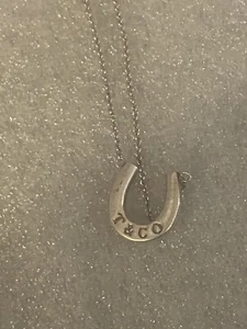 Tiffany & Co. Sterling Silver Lucky Horseshoe Pendant Necklace 16"  [014GRA] - Picture 1 of 4