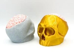 Skull with Removable Brain Lid Statue for Hiding Keys/candies - Picture 1 of 280