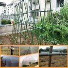 Connecteur cages végétales clip de fil végétal boucle de fixation pince outil de jardin