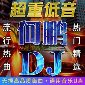 USB Flash Drive Chinese DJ He Peng何鹏 Car Music Pop hot song heavy bass skewer - Picture 1 of 18