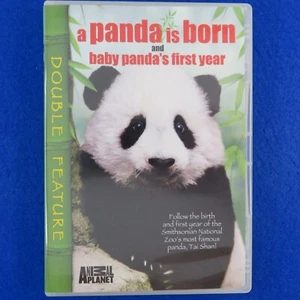 A Panda Is Born And Baby Panda's First Year - DVD - Region 1 - Fast Postage !! - Picture 1 of 2