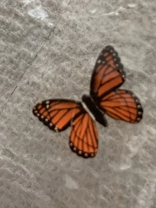 Vintage Barbie Skipper #1933 Country Picnic Butterfly for Net NM ONLY BUTTERFLY - Bild 1 von 1