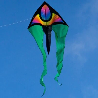 CIM Drachen F-Tail XM STARDUST Flugdrachen Drachenschnur Kinderdrachen Wind - Bild 1 von 4