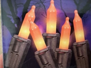NEW HALLOWEEN 50 ORANGE LIGHT Set INDOOR/ OUTDOOR 12.2 ft TX - Picture 1 of 3