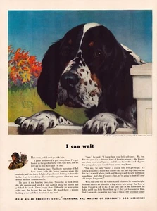 Pubblicità Stampa Cane Setter Inglese 1942 WW2 Soldato Pagina Completa Rivista 10,5"x13,5" - Foto 1 di 1