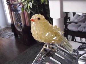 Glänzender Vogel zum Anklemmen - Bild 1 von 3