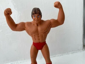 10.2cm Wwf Wwe LJN Paul Orndorff Lucha Libre Acción Figura Titan Deporte Bendies - Imagen 1 de 5