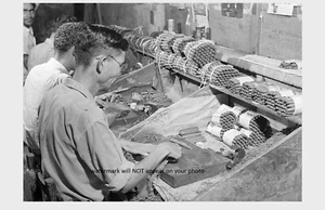 FOTO 1942 de fábrica de cigarros tienda trabajadores granja de tabaco Puerto Rico rodando - Imagen 1 de 2