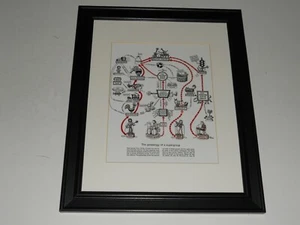 Framed Cream / Blind Faith / Spencer Davis Supergroup Genealogy 1969 14" x 17" - Picture 1 of 1
