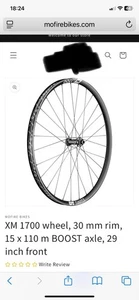 DT swiss XM 1700 wheel, 30 mm rim, 15 x 110 m BOOST axle, 29 inch mtb front New - Picture 1 of 6