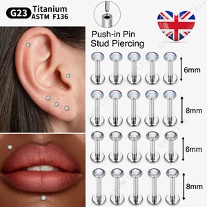 Cartilage Earrings Stud Titanium Flat Back Tragus Nose Helix Labret Piercing G23 - Picture 1 of 10