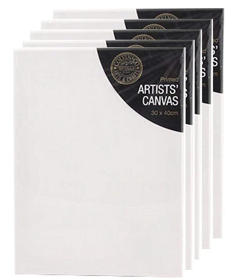 30 x 40 cm CANVAS STRETCHED ARTIST PRIMED BOX FRAMED 100% COTTON ART 12 x 16"