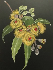 Australian Gum Leaves & Blossom  Ronnie K  Framed & Ready to Hang - Picture 1 of 3