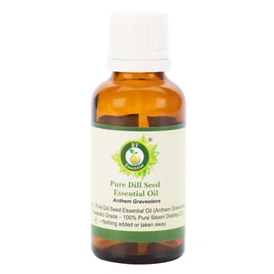 Pure Dill Seed Essential Oil Anthem Graveolens Distilled Uncut For Skim Hair - Picture 1 of 30