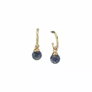 Ladies Sodalite Goldtone Gray Blue Hoop Earrings - Mineral - Pierced - Picture 1 of 1