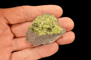 Peridot Basalt 2" x 1 3/4" 3 Oz natürliches Gestein Mineral Probe Heilkristall - Bild 1 von 1