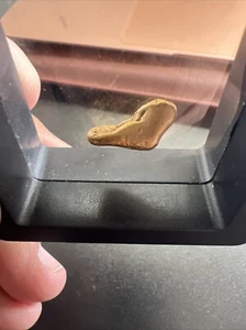 PURE GOLD YUKON NUGGET RIVER GOLD “THE HUMAN FOOT” *HAND PICKED RAW - 3.8 Grams - Picture 1 of 17
