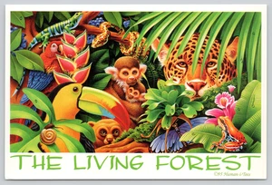 Postal The Living Forest Art - Tucán Leopardo Mono Serpiente Rana Guacamayo - Imagen 1 de 2