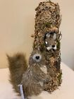 Bloom Room Fall Floral Critter Squirrel Home Decor