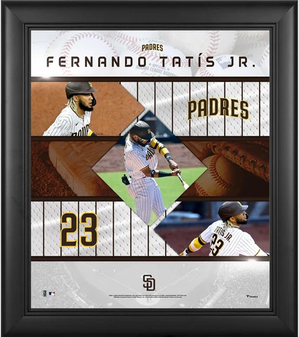 Fernando Tatis Jr. San Diego Padres Framed 15x17 Stitched Stars Collage Cover