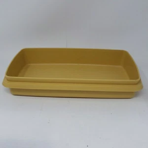 TUPPERWARE Contenitore Rettangolare Oro Deli 816-13 Ricambio NO COPERCHIO 817 9inx5in - Foto 1 di 8