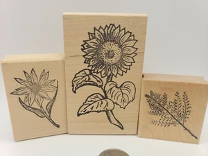 Set of 3 Rubber Stamp Garden Flowers Sunflower Leaf Leaves  - Picture 1 of 9