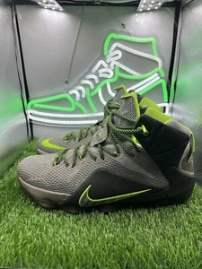 Nike LeBron 12 Dunkman Men's basketball Shoes Size 11.5 Dunk Force 684593-001 - Picture 1 of 8