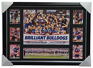 2016 AFL PREMIERS WESTERN BULLDOGS DELUXE TRIBUTE FRAME JASON JOHANNISEN BOYD - Bild 1 von 1