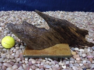 Small Driftwood Mounted on Slate 05"x12"x03" Aquarium Reptile Natural Art - Image 1 of 4