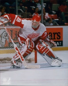 Dominik Hasek Detroit Red Wings Unsigned NHL Licensed Glossy 8x10 Photo D - Picture 1 of 1