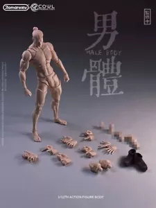Romankey X COWL 1/12 blass 6" männliche Actionfigur Gelenkkörper Puppe Modell mit Kopf Spielzeug - Bild 1 von 8