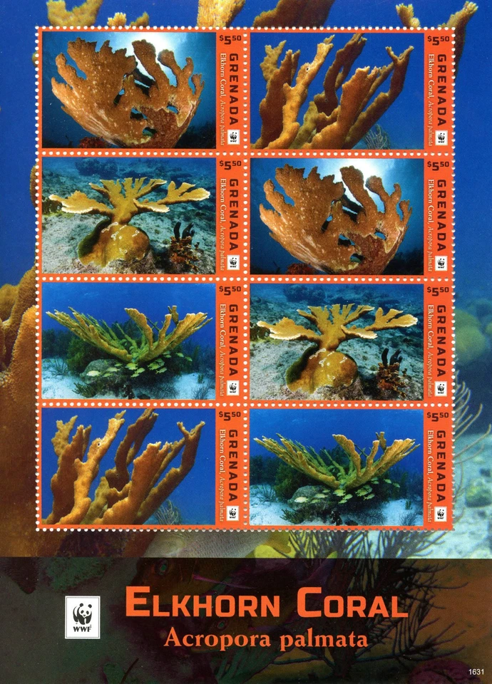 Estampillas marinas de corales M/S de Granada 2016 MNH Elkhorn Coral WWF 8v Foto 1 de 1