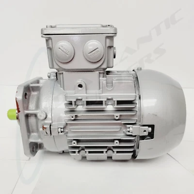 WEG W21 1 HP 3 Ph AL80-4 50/ 60 HZ 1740 RPM Splined Shaft Explosion Proof Motor - Image 1 of 3