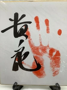 Estampilla de mano japonesa de luchador de sumo TEGATA Takanohana Yokozuna impresión Heisei - Imagen 1 de 12